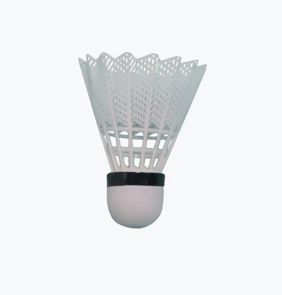 Tube de volants x6  SportiFrance